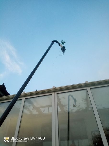 pole with weed over gutter on conservatory