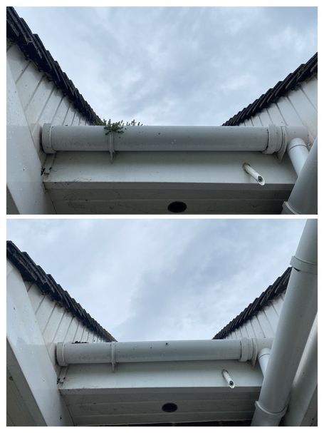 comparing gutter with and without weed