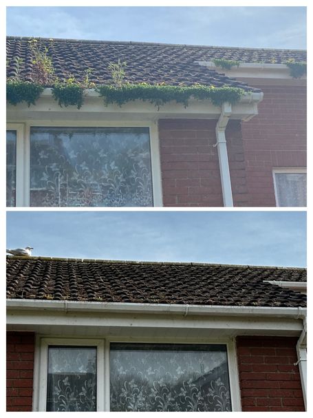 gutters with and without weeds