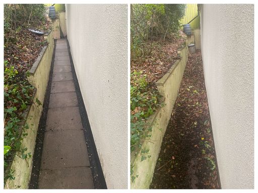 path before and after clearing and cleaning