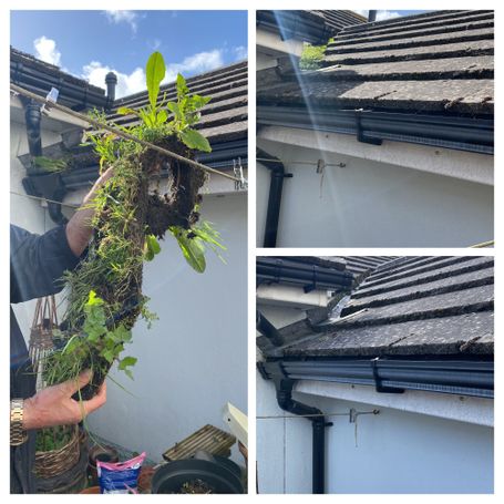 weed roof gutter