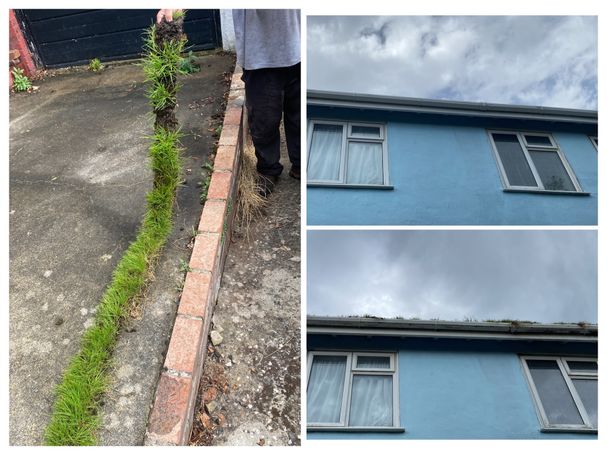 6ft turf with before and after cleaning of gutter, fascia and windows