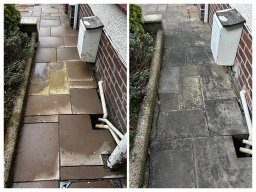 pathway before and after