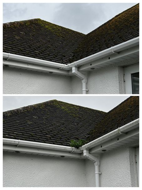 gutter roof wall downpipe