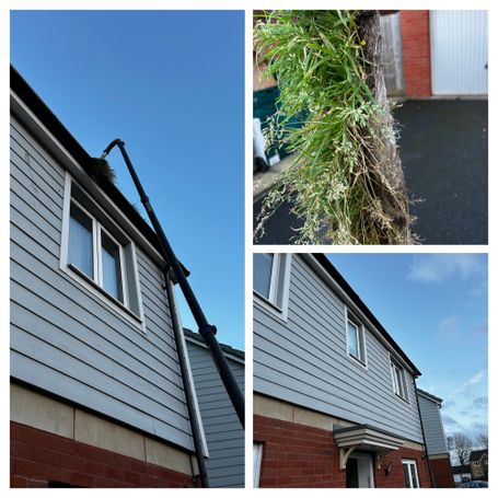 grass in gutter front of house