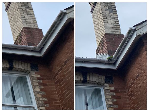 comparison between gutter with and without weed on Victorian house