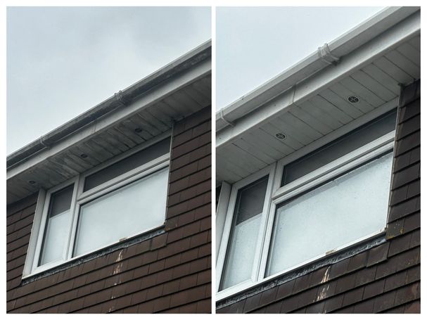 window, soffit, fascia and gutter before and after cleaning