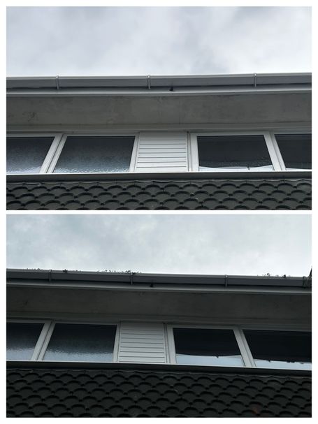 windows gutter side of house 