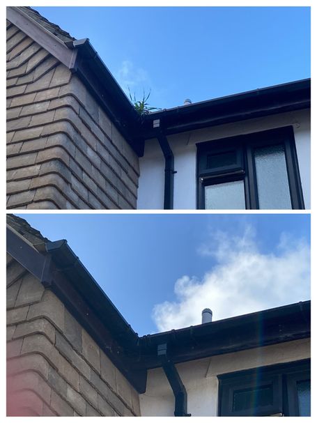 comparison between gutter with weed and without