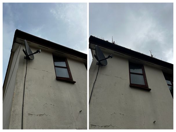 Comparing gutter with and without weeds