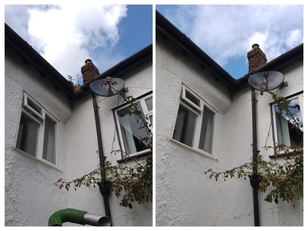 plant growing in gutter before and after removal