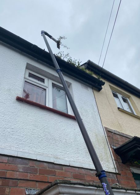 weeds in gutter front of house
