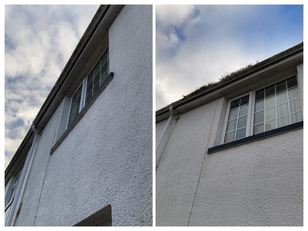 front of house with window and weed in gutter compared with same without weed