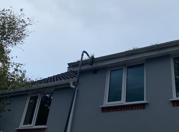 vacuum pole lifting weed out of gutter 