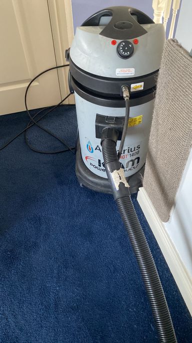 carpet cleaner on navy carpet