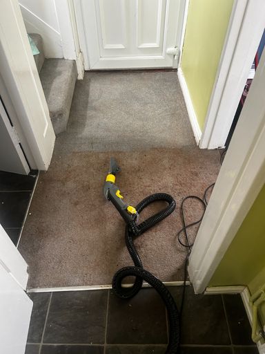 carpet hoover hose hallway