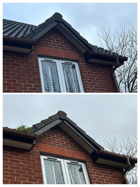 gutter by roof apex with and without weed