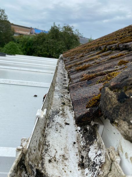 interior of gutter