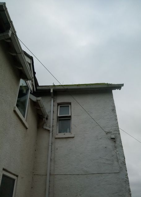 side of house with windows gutter and down pipe