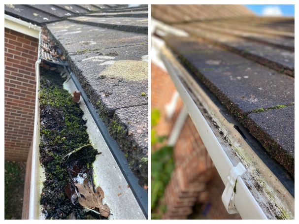 gutter with moss and emptied