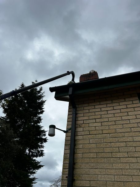 gutter brick building tree