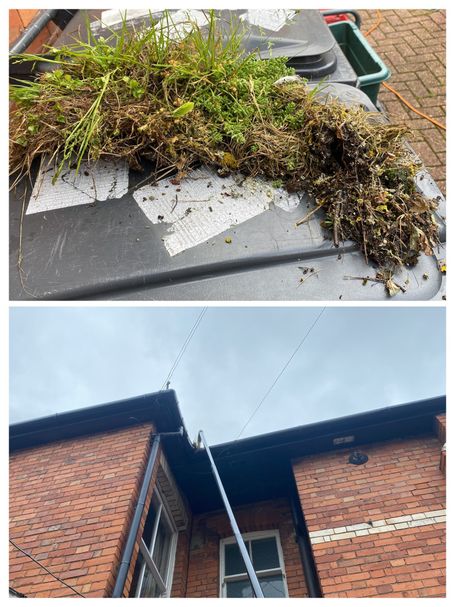 top photo of weed and bottom photo of gutter and the gutter vacuum pole