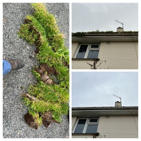 turf on floor, in gutter and an empty gutter comparison