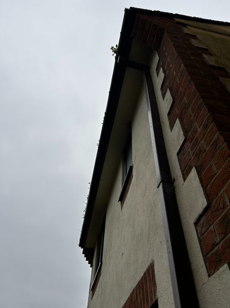 gutter downpipe side of house