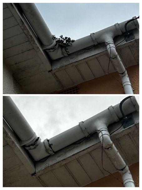 weed gutter