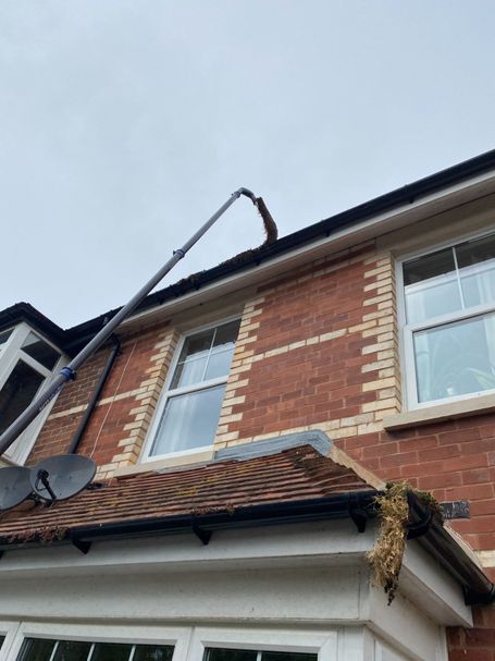 pole weed gutter front of house