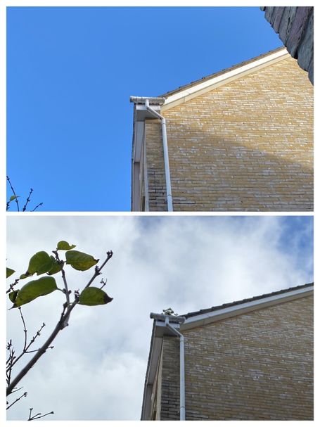 comparison of high level gutter with and without weed