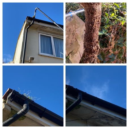 four photos of gutter and the weed removed