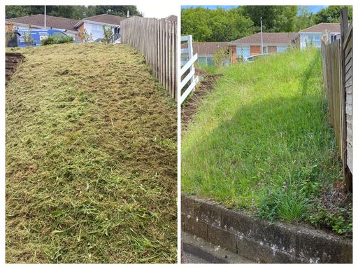 comparison of lawn before and after cutting