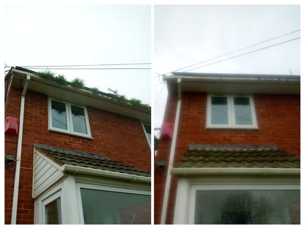 comparsion of house with porch, gutter with and without grass