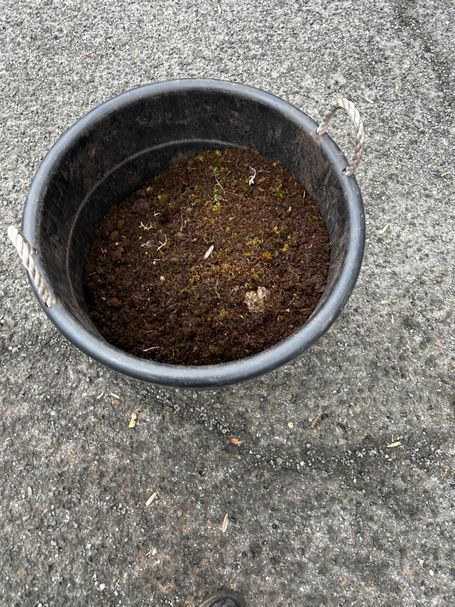 tub of compost