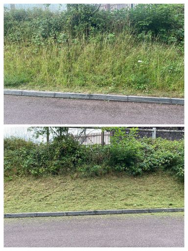 same grass verge, one overgrown, one after strimming