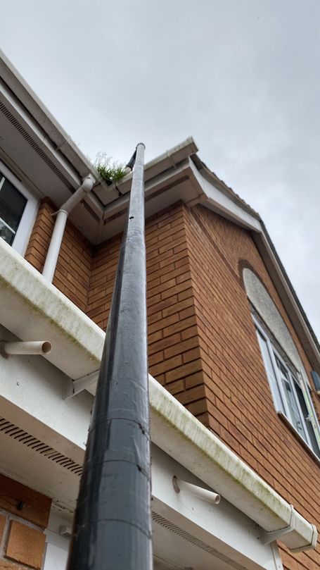 Pole reaching up to gutter to remove weed at front of house