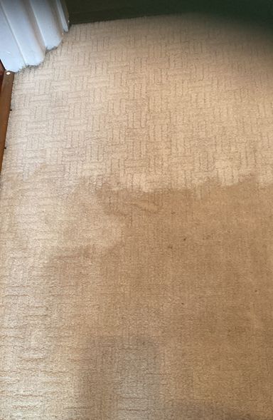 Halfway through landing carpet clean