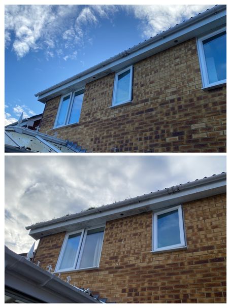 windows in wall with gutter with and without grass