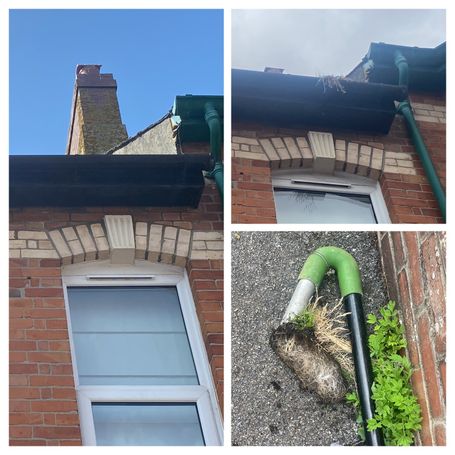 2 pictures of gutter with and without weed, one with the weed on the gutter vacuum pole