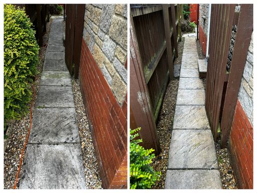 comparison of path