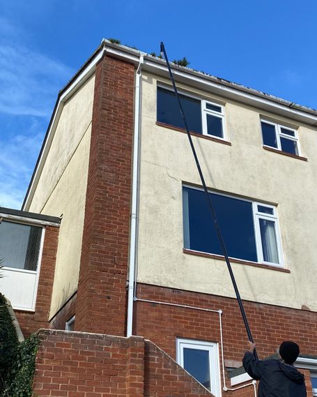 front of three storey house with weeds in gutter