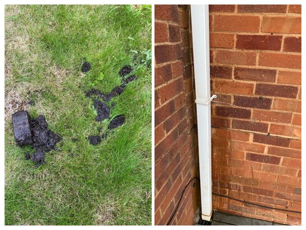 downpipe grass mud