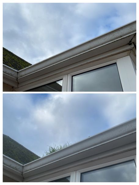 gutter and window before and after weed removal