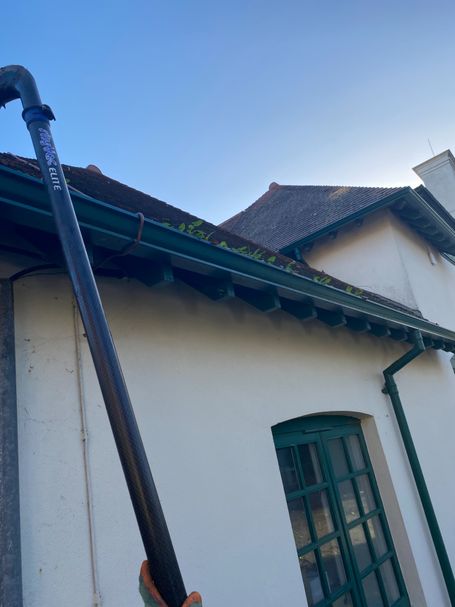 gutter with plants, pole