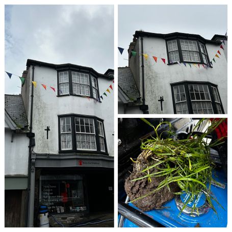 shop front windows