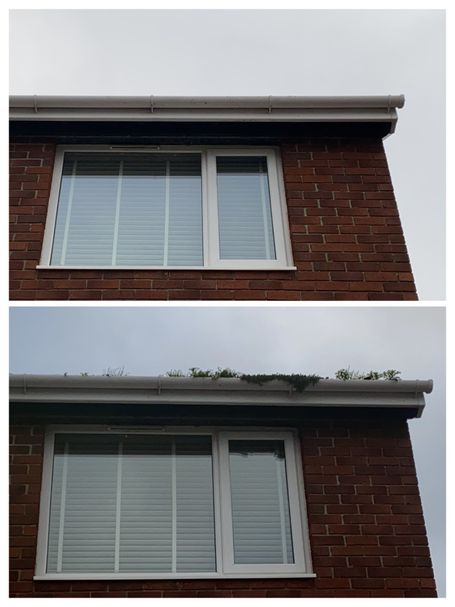 window on house with gutter above, with and without weed