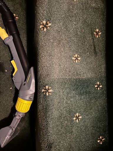 carpet