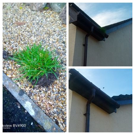 comparison of gutter with and without weed. weed on ground