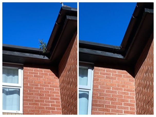 corner gutter at top of wall with and without weed